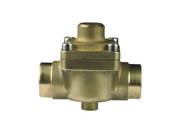 Plunger type check valve